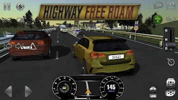 Real Driving Sim Mod (Unlimited Money/Unlocked) 4.8 4.8  poster 22