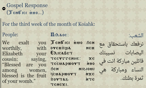 Coptic Reader Screen 2