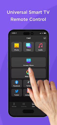 Roku Remote and TV Cast