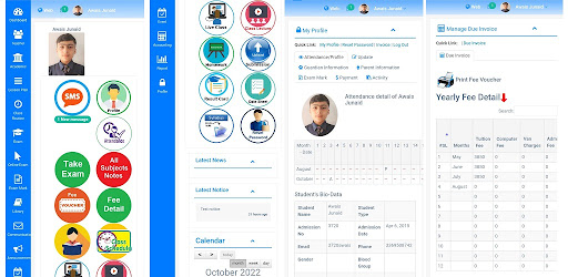 Ali Public High School