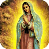 Virgen de Guadalupe te llora icon