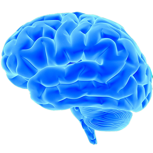 Brain & Math & Puzzle Games logo