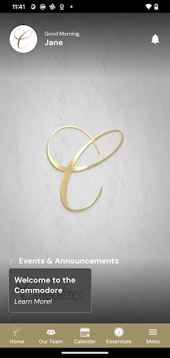 App preview