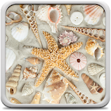 Seashells Live Wallpaper icon