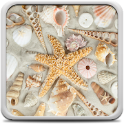 Seashells Live Wallpaper  Icon