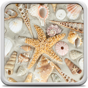 Seashells Live Wallpaper 22.0 Icon