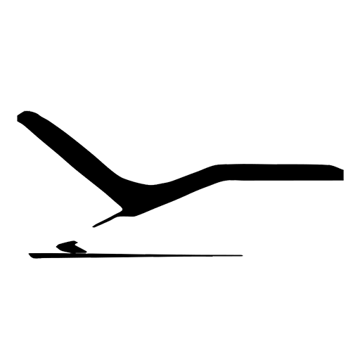 Clínica Pentapsi logo
