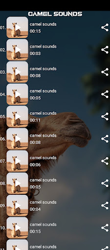 camel sounds Screen 2