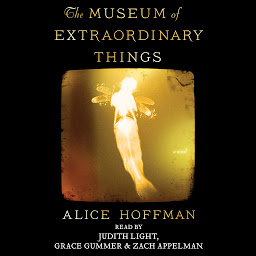 Icon image The Museum of Extraordinary Things: A Novel