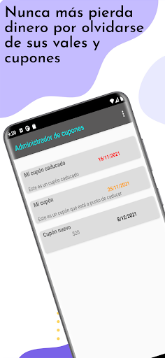 Vista previa de la aplicación