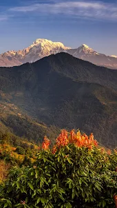 Himalayas Mountain Wallpaper