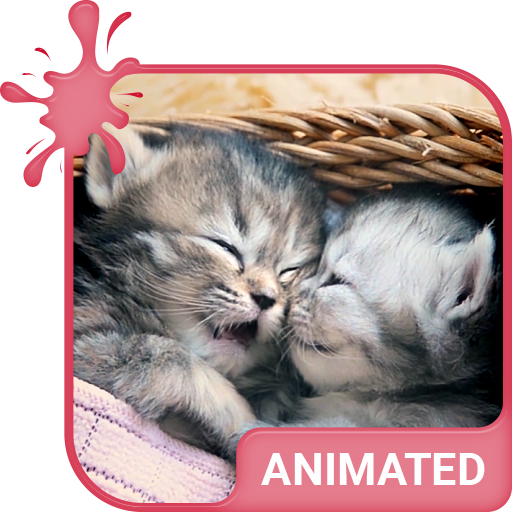 Kittens Keyboard Custom Theme  Icon