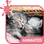 Cute Kittens Animated Keyboard + Live Wallpaper