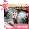 Cute Kittens Animated Keyboard + Live Wallpaper