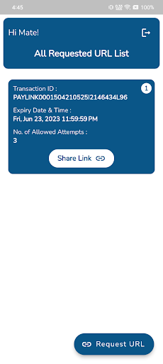 Pay By Link Screen 2