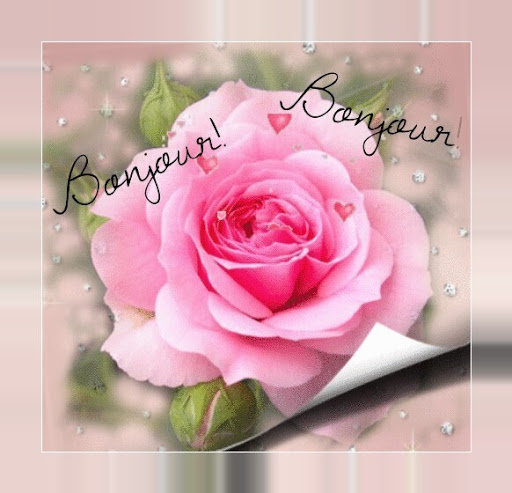 Bonjour Images screenshot 3