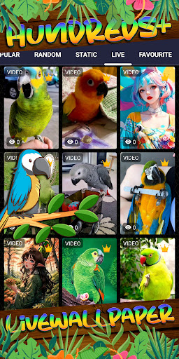 parrot wallpaper Screen 3