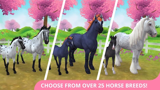 Star Stable Horses MOD APK (Free Cost, Unlimited Apple) v2.88.1 2