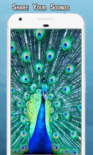 Peacock Sounds Ringtone Screen 2