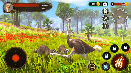 The Ostrich Screen 2