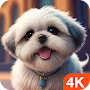 Dog Wallpapers & Cute Puppy 4K