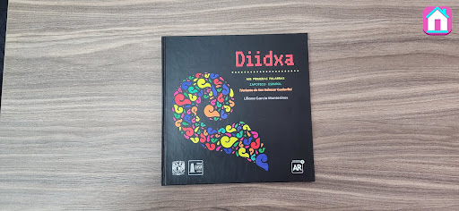 Diidxa 2.0 Screen 2