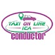 Taxi Online Ica conductor