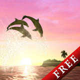 Dolphin Sun Trial icon