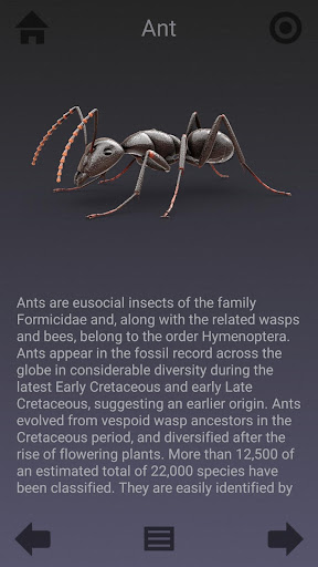 Screenshot of Animalia