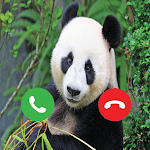 Cover Image of Descargar Panda Fake call Simulator  APK