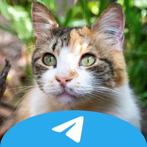 Im on Telegram FYI logo