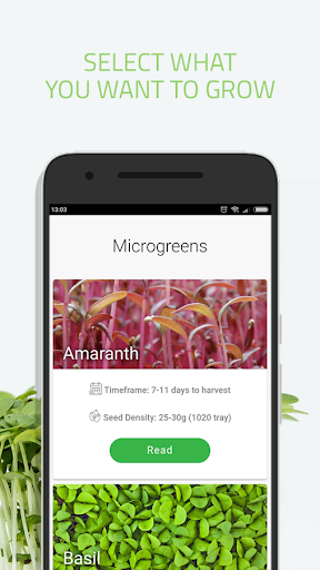 Microgreens Guide Screen 2