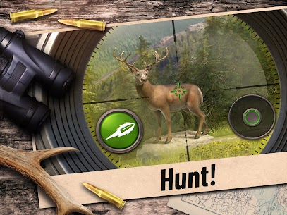 Hunting Clash: Hunter Games 15