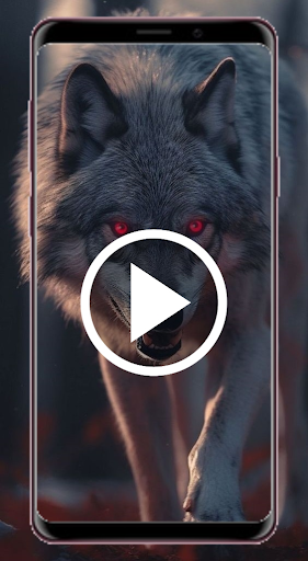 1000+ Video Wallpaper RZDO Screen 3