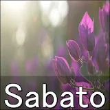 Sabato icon