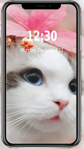 Cats Wallpapers
