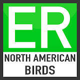 Easy Recorder N American Birds icon