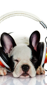 Captura 3 Fondos de Bulldog Francés android