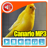 Canto Canario Belga 2017 icon