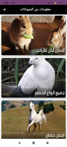 Android application معلومات ‏عن ‏الحيوانات بدون نت screenshort