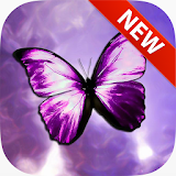 Violet Wallpapers icon