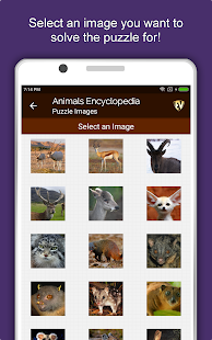 Animal Encyclopedia Complete Reference Guide Free 1.1.4 screenshots 23