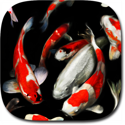 Koi Live Wallpaper PRO  Icon