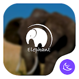 Elephant-APUS Launcher theme icon