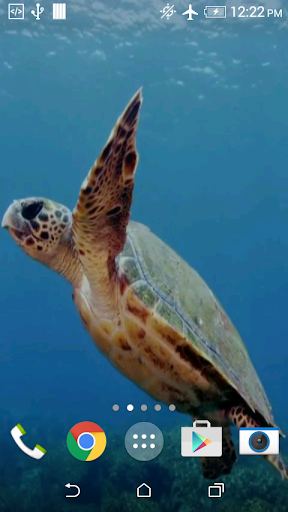 Turtle 3D Live Wallpaper Screen 3
