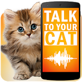 Talk to cat Simulator icon