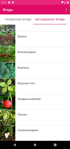Ягоды Screen 2