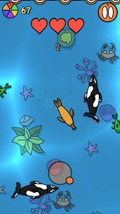 Seal Charge