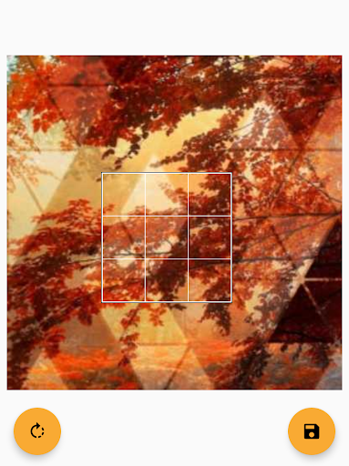 Pixelate Image Screen 2