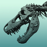 Dinosaur HD Live Wallpaper icon